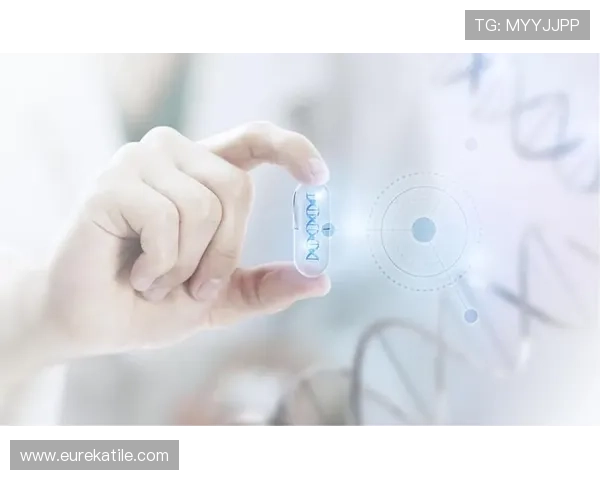 博日官网：全面展示博日品牌历史、企业文化与发展战略的官方网站