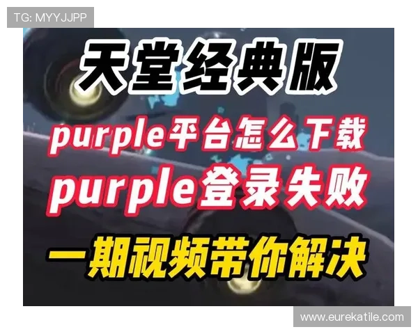 天堂官网版网页版登录入口详细介绍，快速登录体验无限精彩